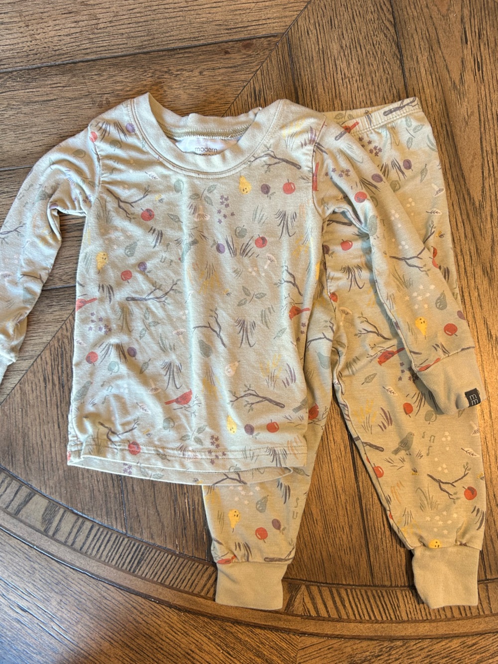 Modern Moments Green Kids Pajama Set with Multicolor Bird Print